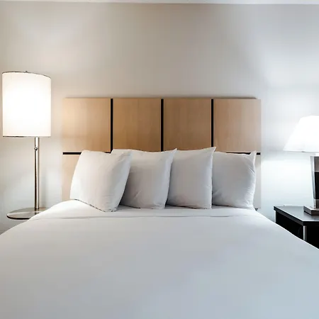 Sonesta Simply Suites Fort Worth