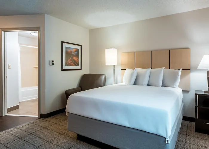 Sonesta Simply Worth 3*