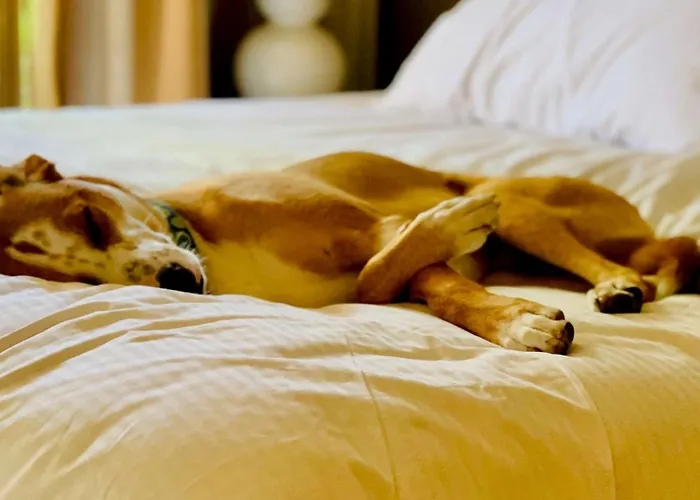 Sonesta Simply Worth 3* Fort Worth