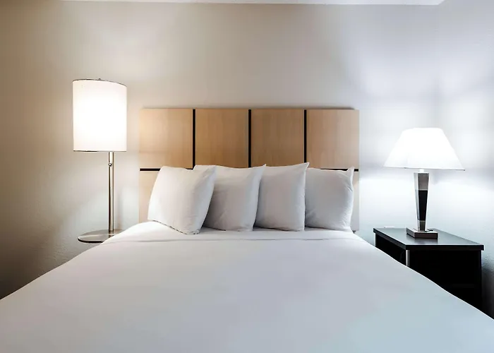 Sonesta Simply Worth 3* Fort Worth