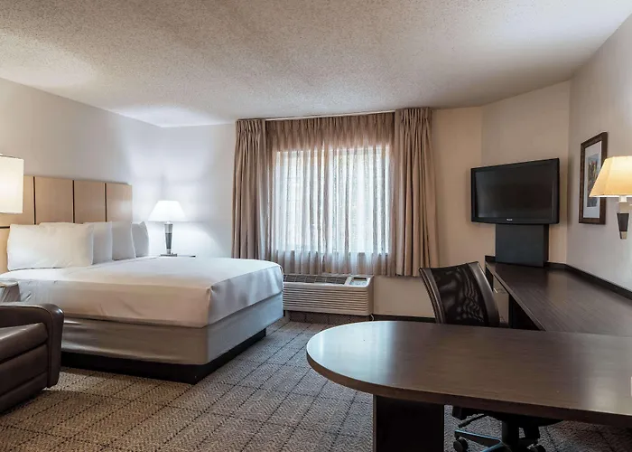 Hotel Sonesta Simply Worth